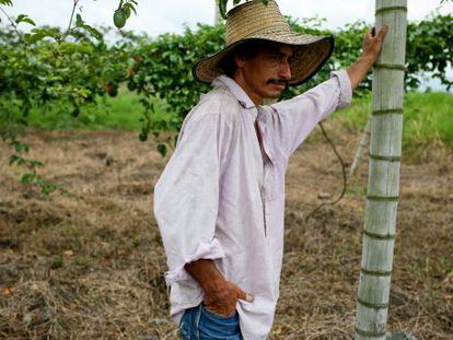 Agricultor colombiano en el campo.