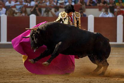 Jos&eacute; Tom&aacute;s, con el capote en Valladolid.