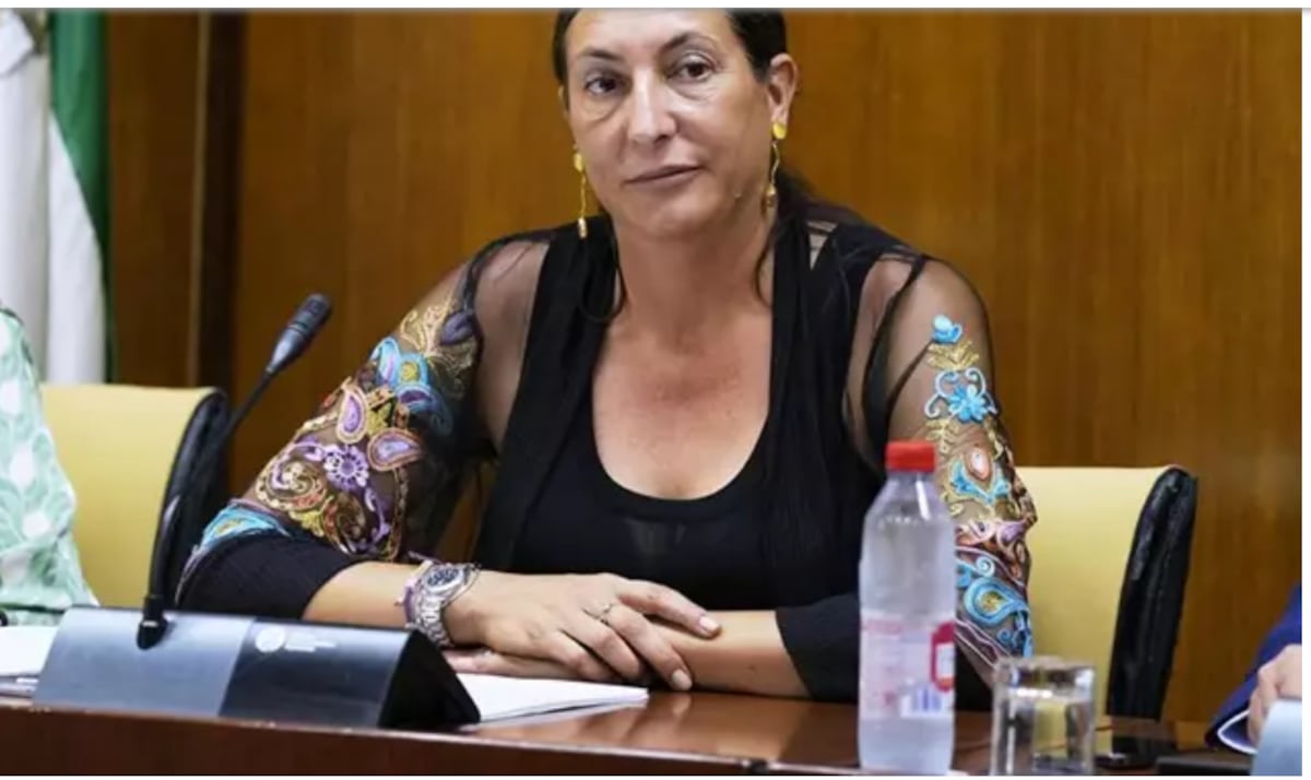 Andalucía pide que se repartan fondos por número de víctimas de violencia machista: “No puede valer más una mujer en Cataluña” | Sociedad