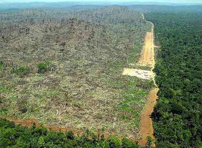 Amazonia deforestada en Brasil para plantar soja.