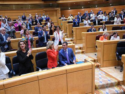 Senadores socialistas aplauden la intervención de Pedro Sánchez (sentado), este martes en el Senado.