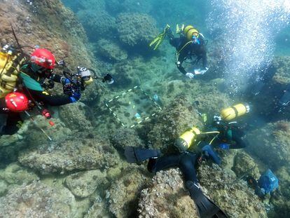 Un grupo de arqueólogos subacuáticos de la Universidad de Alicante, en la zona donde se han hallado las monedas de oro.
