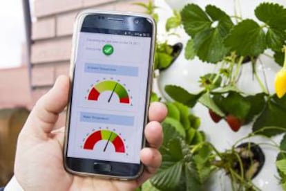 Algunas de las métricas que muestra la 'app' de Optimus Garden.