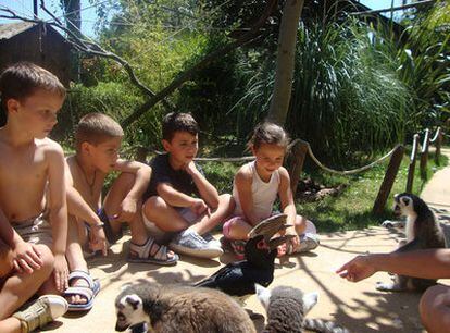 Niños en el parque Selwo Estepona.