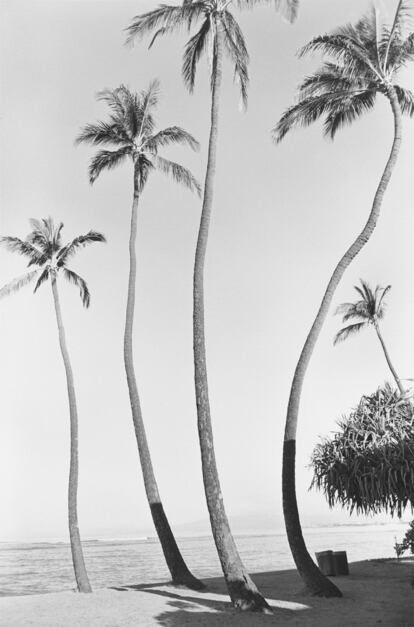 'Waikiki, No 01, 1979'.