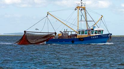 Un arrastrero pesca frente a las costas de Holanda.