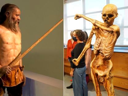 Hace una década se recreó el aspecto, a la izquierda, que tendría Ötzi. Un nuevo estudio sostiene que este hombre del Neolítico se parecía más a su momia de lo que se creía.