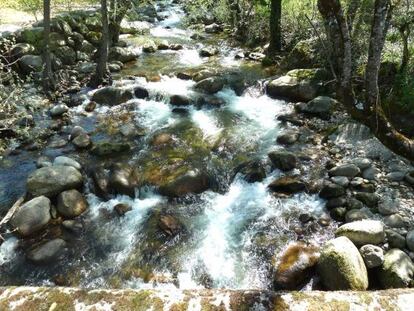 Arroyos y ríos surcan la zona.