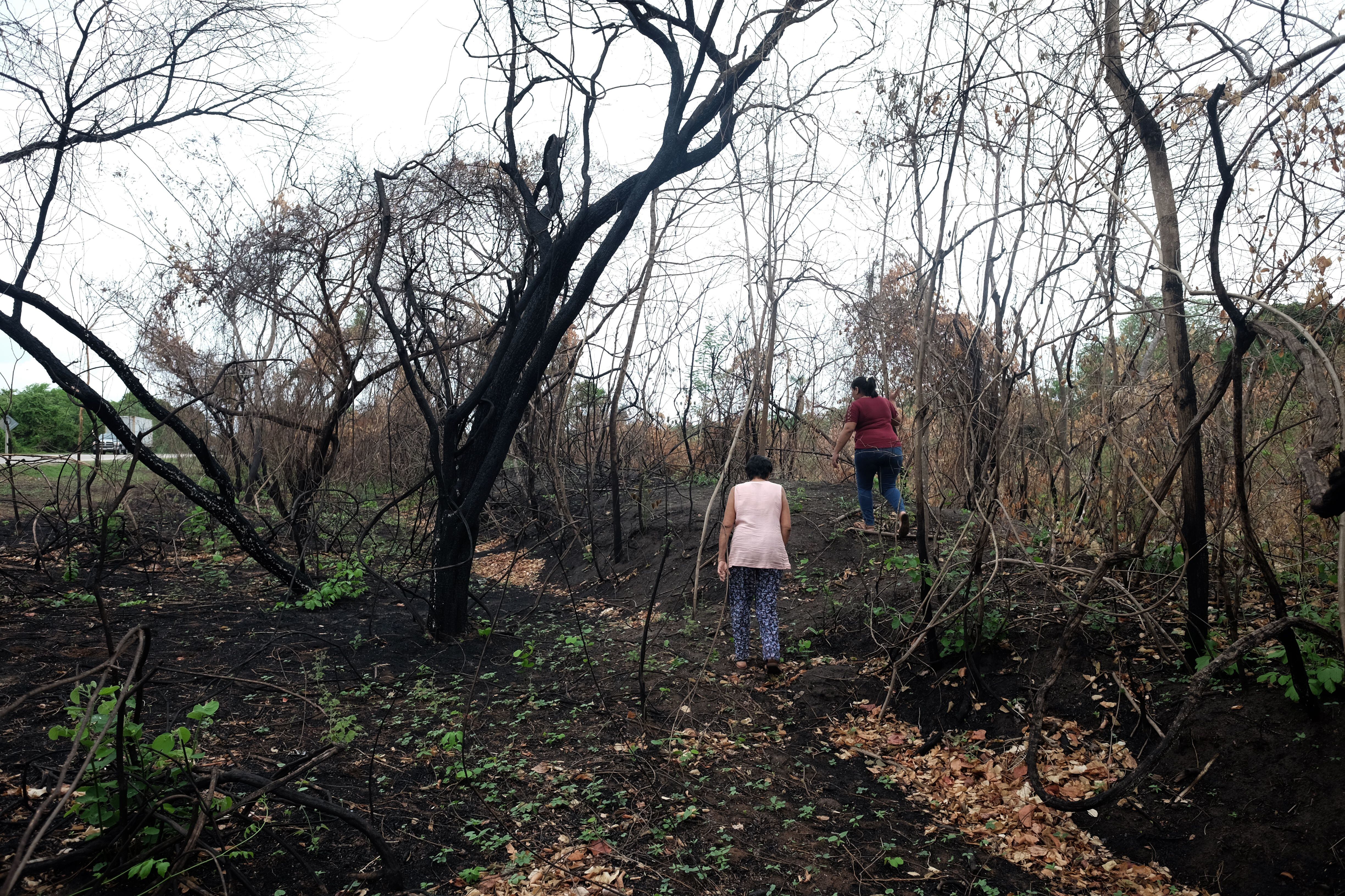 Marina Justiniano y Arabel Zeballos caminan entre los bosques quemados en la Chiquitanía.