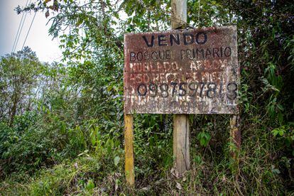 Un letrero ofrece la venta de un terreno de bosque primario del ecosistema del bosque nublado.