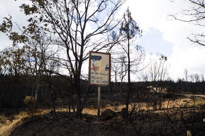 Un cártel, en Villardeciervos, advierte del peligro de incendios forestales
