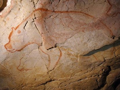 Un oso cavernario pintado hace más de 30.000 años en la cueva de Chauvet, en Francia.