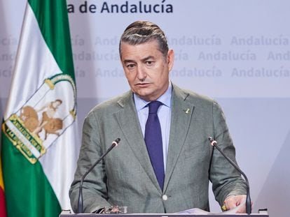 El consejero de Presidencia, Interior y Diálogo Social de la Junta de Andalucía, Antonio Sanz, durante la rueda de prensa de esta mañana tras el Consejo de Gobierno Andaluz en el Palacio de San Telmo.