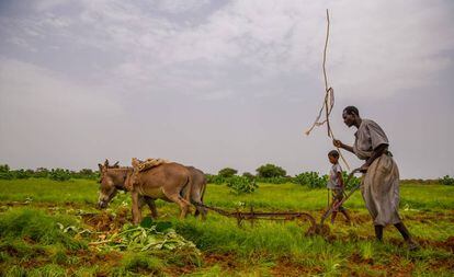 Un agricultor aprovecha la época de lluvias para labrar la tierra cerca de la localidad de Nema, al sur de Mauritania. Las técnicas en el campo siguen siendo rudimentarias y la producción insuficiente para garantizar la alimentación en calidad y cantidad adecuada.