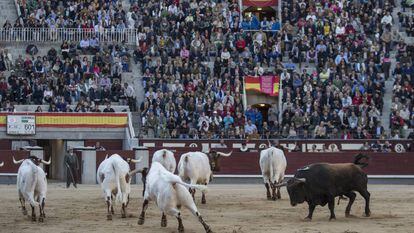 El cuarto toro fue devuelto a los corrales entre las protestas del público.