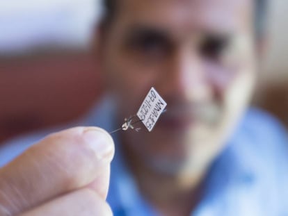 Se estima que más de la mitad de la población venezolana, 16 millones de personas, está en peligro de contagio de malaria.