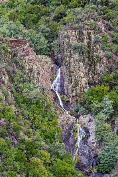 Chorreón del Tajo, en la localidad de Caminomorisco.