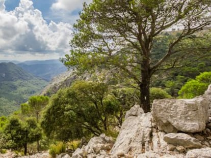 Sierra de Tramontana, en Palma de Mallorca. 