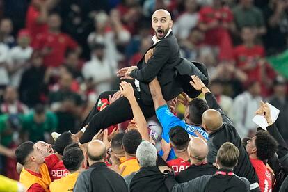El entrenador marroquí Walid Regragui manteado por sus jugadores después de calsificarse para las semifinales del Mundial de Qatar y derrotar a Portugal. 