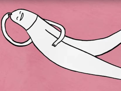 El tamaño importa y otras 7 cosas que no sabía sobre el único órgano dedicado al placer