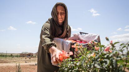 Ezîze, a resident of Jinwar, picks flowers to make homeopathic medicine.