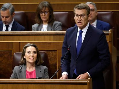 El presidente del PP, Alberto Núñez Feijóo, interviene durante la sesión de control al Gobierno celebrada este miércoles en el Congreso.