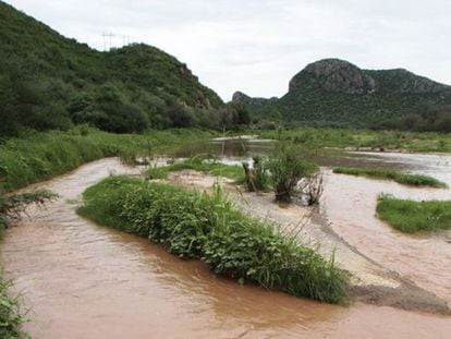 Las aguas del río Sonora, tras el derrame.
