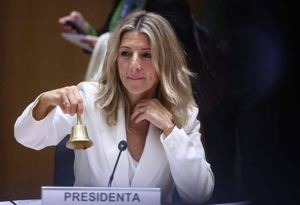 Resumen y el arbolito de los deseos |  Opinión