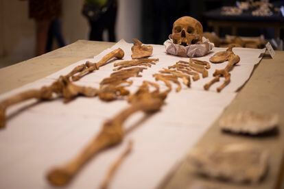 Arqueólogos hallan entierros humanos asociados a la Intervención Francesa en México.