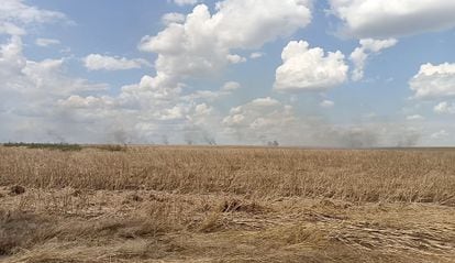 Columns of smoke from Russian artillery attacks on the war front between the Kherson and Dnipro regions.
