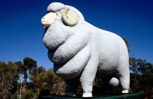 Estatua del carnero gigante de Wigan, en el 'outback' australiano.