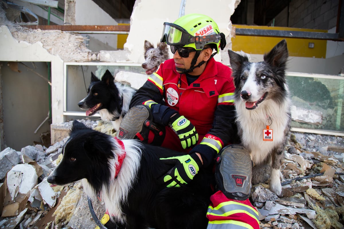 Criando, entrenando y cuidando héroes: un día en Querétaro con una unidad canina de perros de rescate
