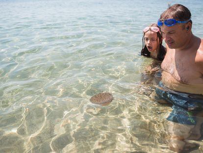 Ante la picadura de una medusa hay que lavar la zona con agua de mar, nunca con agua dulce, y aplicar compresas frías.