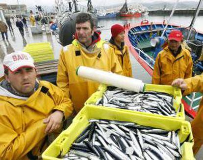 Tripulantes de un pesquero custodian las cajas de anchoas recién desembarcadas en el puerto de Santoña (Cantabria). EFE/Archivo