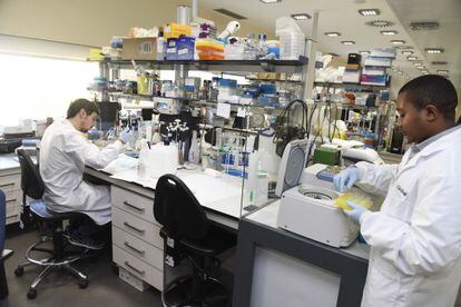 Científicos investigan sobre la malaria en los laboratorios del ISGlobal.