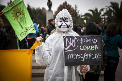 Un manifestante antitransgénicos en una marcha en Santiago de Chile, en 2015.