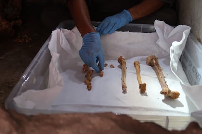 Hallazgos osteológicos en la tumba de Marco Venerius Secundus en Pompeya.