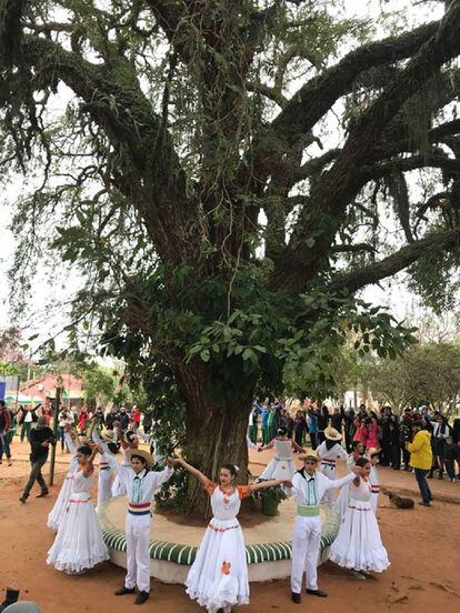 El tatarê de la escuela Defensores del Chaco de Yaguarón fue elegido "el árbol de la gente" por votación popular.