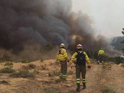 Las temperaturas extremas dificultan la extinción de incendios en Castilla y León, Galicia y Extremadura