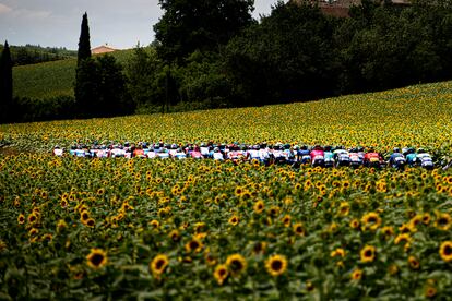 Etapa 14 entre Carcassonne y Quillan (Tour, 2021).