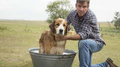 Dennis Quaid, en 'Tu mejor amigo'.