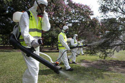 Cuadrillas de operarios de fumigación en Buenos Aires.