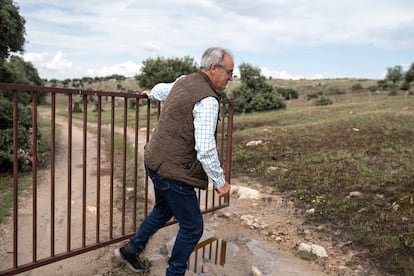 Manuel Gómez García, ganadero vacuno extensivo de Alaraz, Salamanca, en sus terrenos.