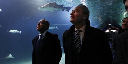 Alberto Fabra recorrió ayer los acuarios de L’Oceanogràfic de Valencia. Durante el paseo, el jefe del Consell no pudo evitar bromear sobre su situación al exclamar: “¡Mira, un presidente entre tiburones! Seguro que alguno querrá sacarle punta a lo que no es más que una obviedad”. Lo que no aclaró es si los escualos podrían ser los mercados financieros o algún compañero de partido.