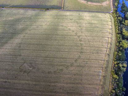 Imagen aérea del campo de cultivo bajo el cual yace el monumento.