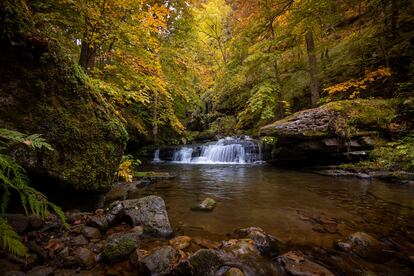 Bosque y cascada en la sierra de Cebollera, a caballo entre Soria, Burgos y La Rioja. 