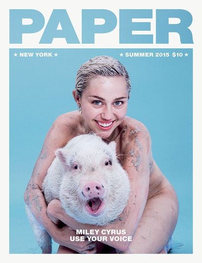 Miley Cyrus también tiene el suyo. Un regalo de la organización por los derechos de los animales PETA por su 20 cumpleaños.  Con el animal, mucho más crecido y estrella recurrente de su cuenta de Instagram, Bubba Sue, posó en la portada de la revista Paper.