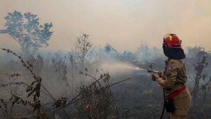 Bomberos combaten un incendio en la selva amazónica en Apui (Brasil), en septiembre de 2022.