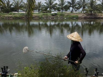 Erosión y cultivos al sur de Vietnam