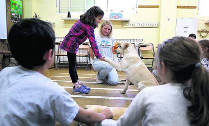 Convivencia canina, con AdiestCan, en el colegio Carmen Hernández Guarch, de Tres Cantos.